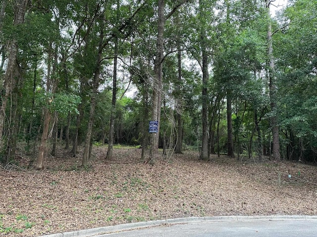1327 W Constitution Pl, Tallahassee, FL 32308 - photo 1