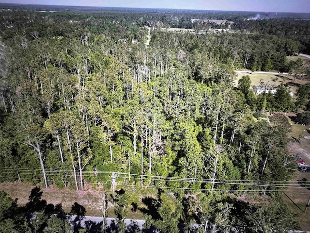 000 SE Apache Ave, Lee, FL 32059 - photo 8