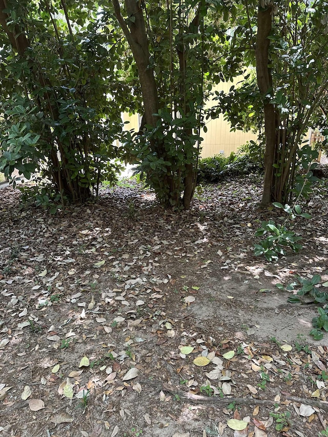 6448 Joe Cotton Trl, Tallahassee, FL 32309 - photo 17