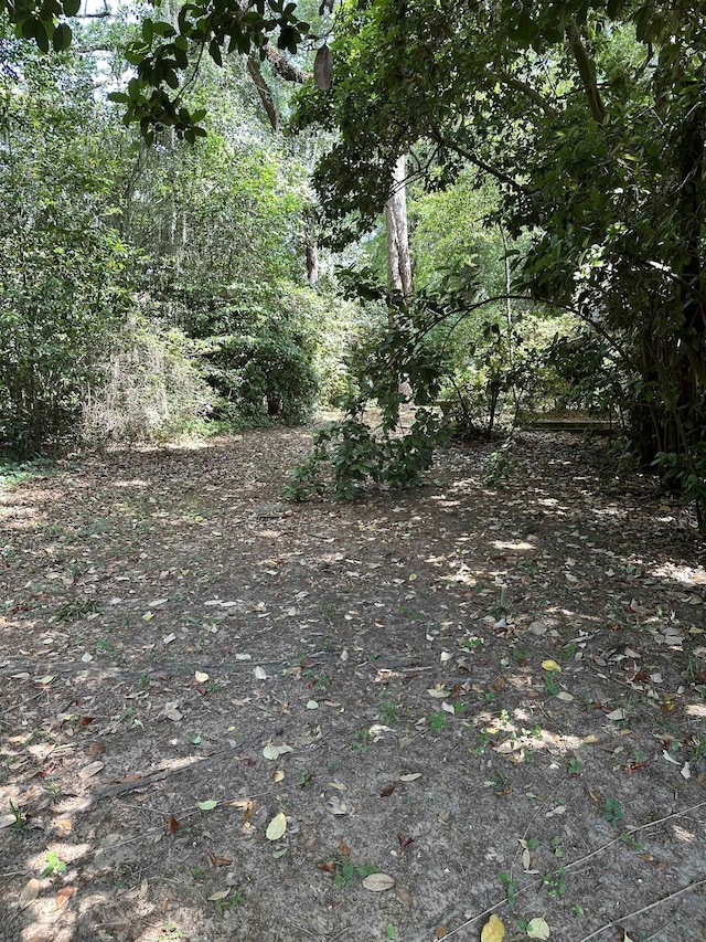 6448 Joe Cotton Trl, Tallahassee, FL 32309 - photo 19
