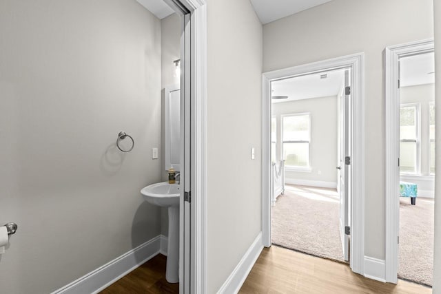 bathroom featuring wood-type flooring