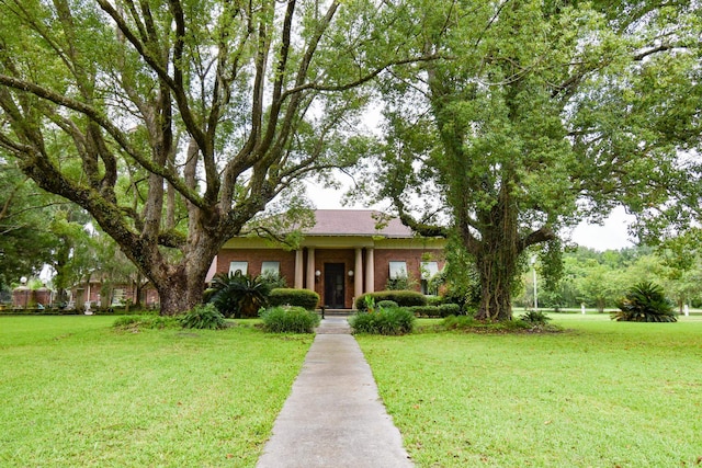 view of front of home featuring a front yard