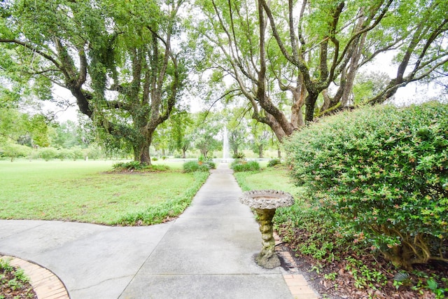 view of community featuring a lawn