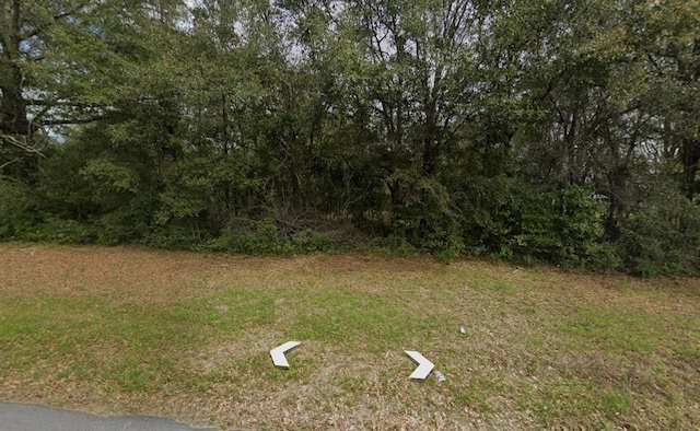 Listing photo 2 for Vacant Florida Avenue, FL 32539