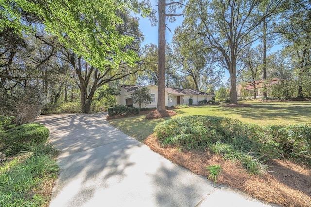 view of front of house featuring a front yard