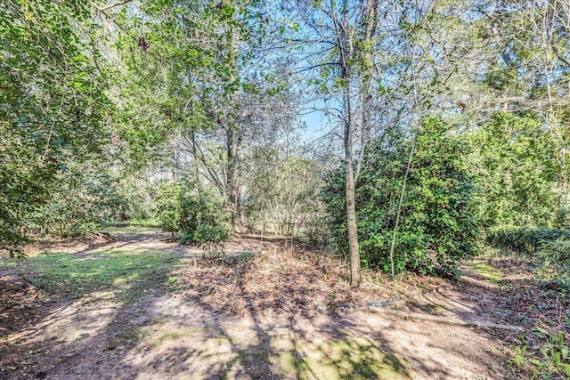 view of yard with a view of trees