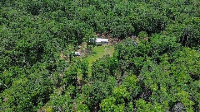 140 E Buckhorn Trl, Greenville, FL 32331 - photo 27