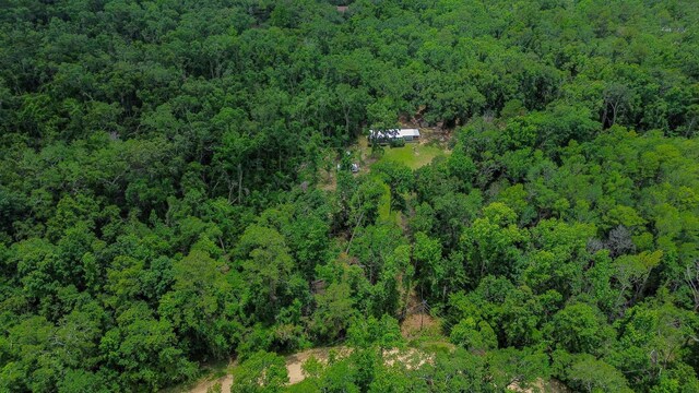140 E Buckhorn Trl, Greenville, FL 32331 - photo 26