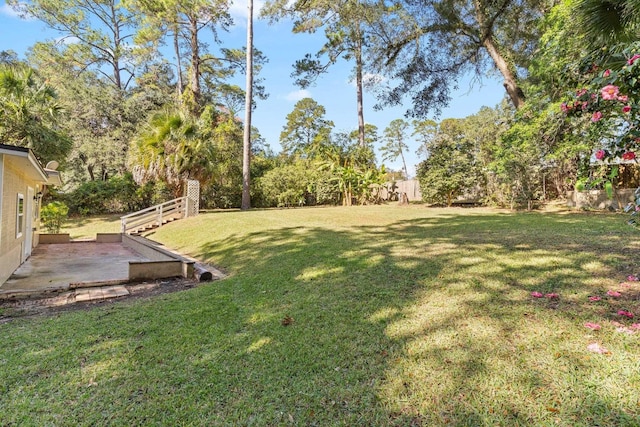 view of yard with a patio