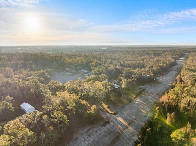 aerial view