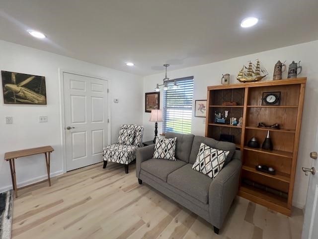 living room featuring light hardwood / wood-style flooring