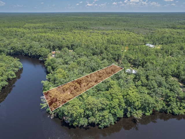 18 Watson Rd, Sopchoppy, FL 32358 - photo 12