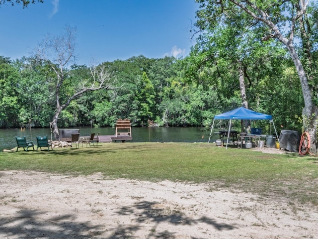 18 Watson Rd, Sopchoppy, FL 32358 - photo 16