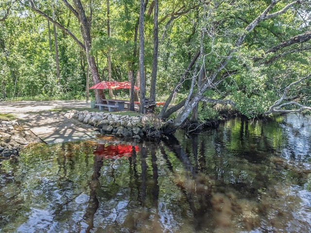 18 Watson Rd, Sopchoppy, FL 32358 - photo 9
