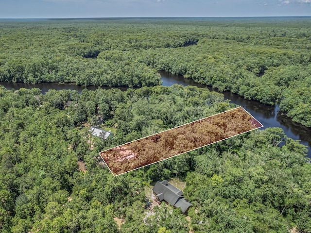 18 Watson Rd, Sopchoppy, FL 32358 - photo 26