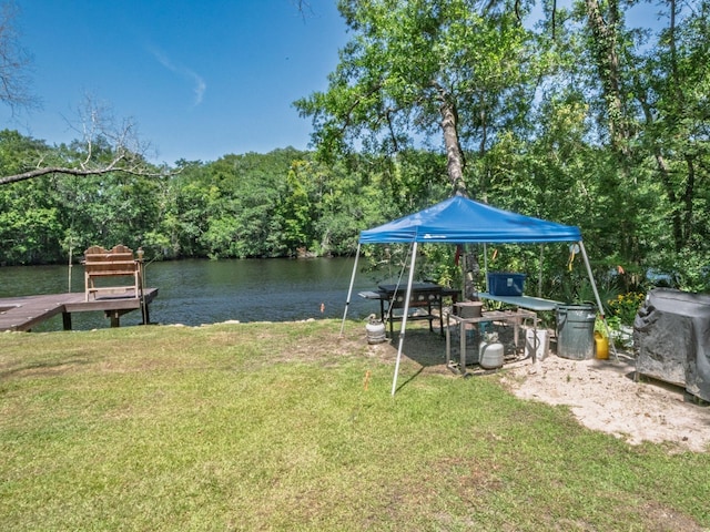 18 Watson Rd, Sopchoppy, FL 32358 - photo 15