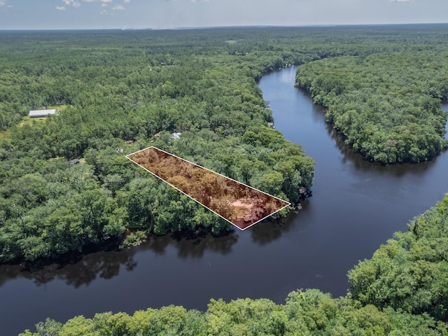 18 Watson Rd, Sopchoppy, FL 32358 - photo 23