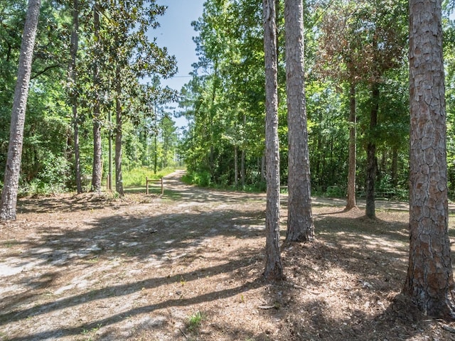 18 Watson Rd, Sopchoppy, FL 32358 - photo 40