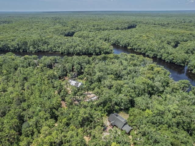 18 Watson Rd, Sopchoppy, FL 32358 - photo 29