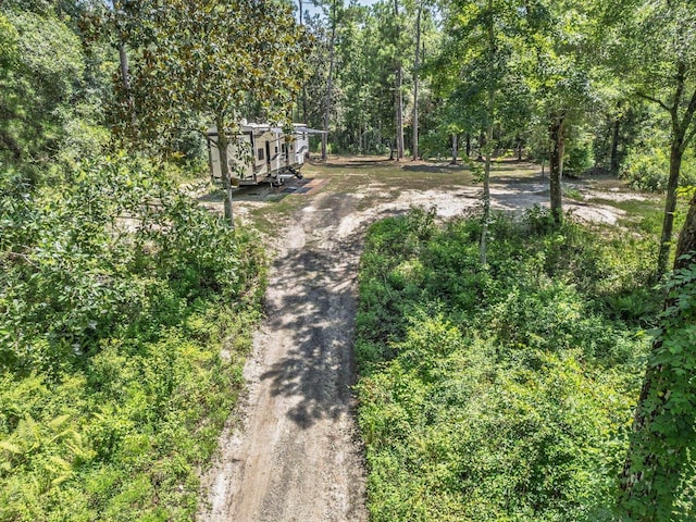 18 Watson Rd, Sopchoppy, FL 32358 - photo 32