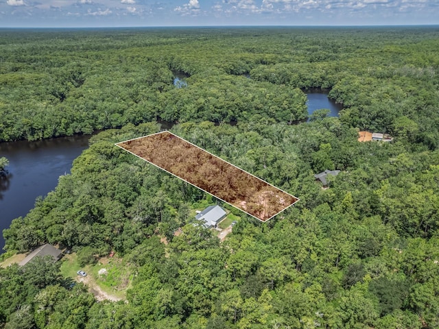 18 Watson Rd, Sopchoppy, FL 32358 - photo 25