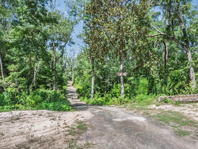 18 Watson Rd, Sopchoppy, FL 32358 - photo 33