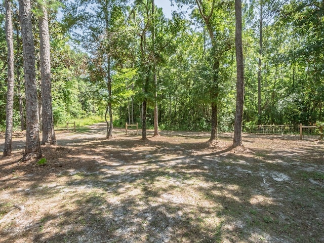 18 Watson Rd, Sopchoppy, FL 32358 - photo 38