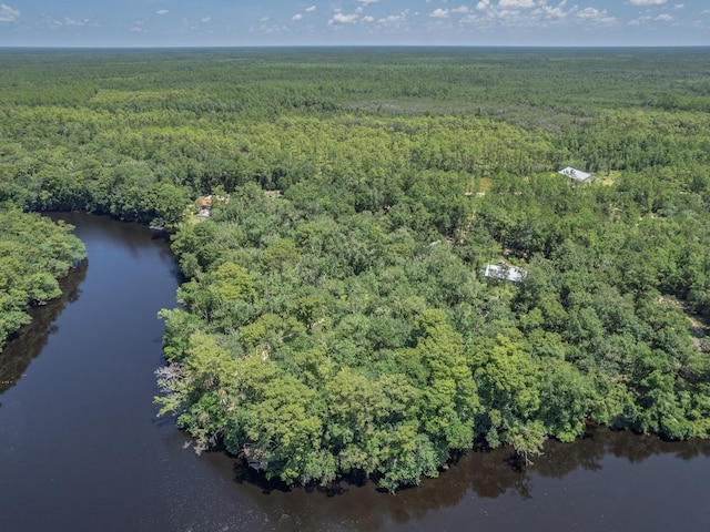 18 Watson Rd, Sopchoppy, FL 32358 - photo 28