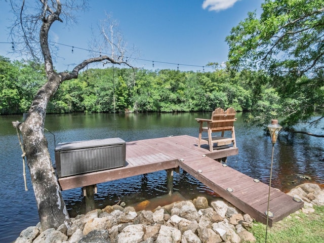 18 Watson Rd, Sopchoppy, FL 32358 - photo 3