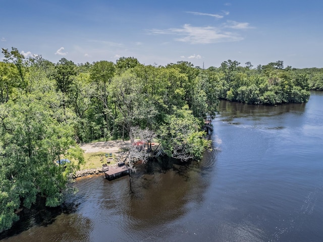18 Watson Rd, Sopchoppy, FL 32358 - photo 11