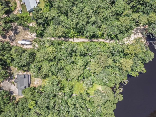 18 Watson Rd, Sopchoppy, FL 32358 - photo 30