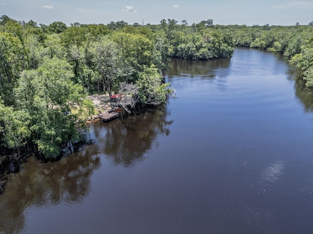 18 Watson Rd, Sopchoppy, FL 32358 - photo 46