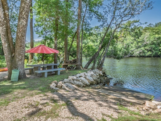 18 Watson Rd, Sopchoppy, FL 32358 - photo 10