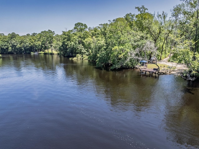 18 Watson Rd, Sopchoppy, FL 32358 - photo 44