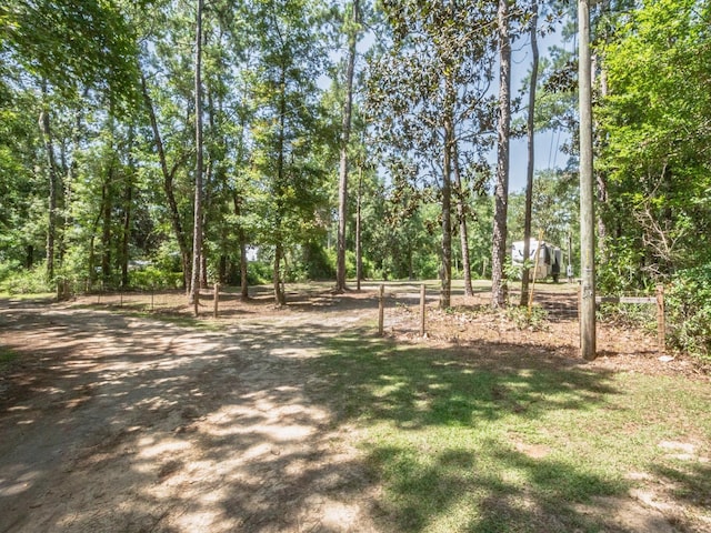 18 Watson Rd, Sopchoppy, FL 32358 - photo 39