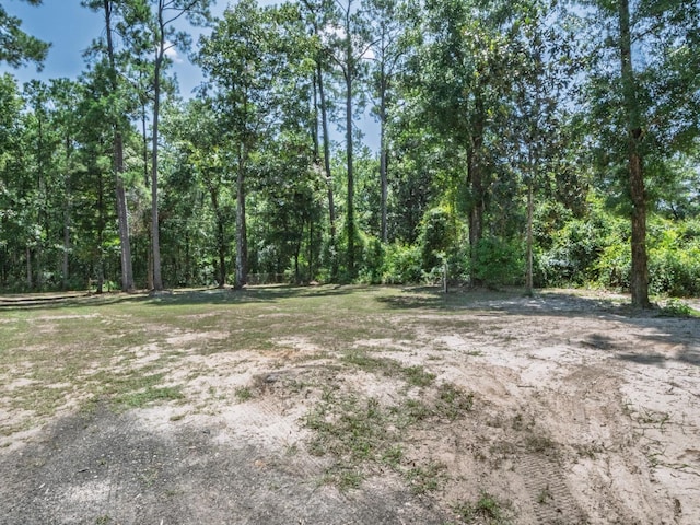 18 Watson Rd, Sopchoppy, FL 32358 - photo 41