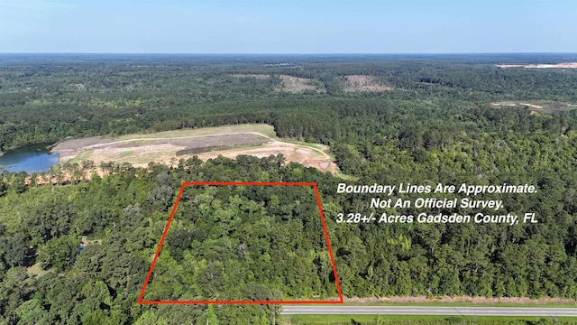 ***TBD*** Attapulgus Highway, Quincy, FL 32352 - photo 1