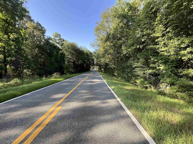 ***TBD*** Attapulgus Highway, Quincy, FL 32352 - photo 42