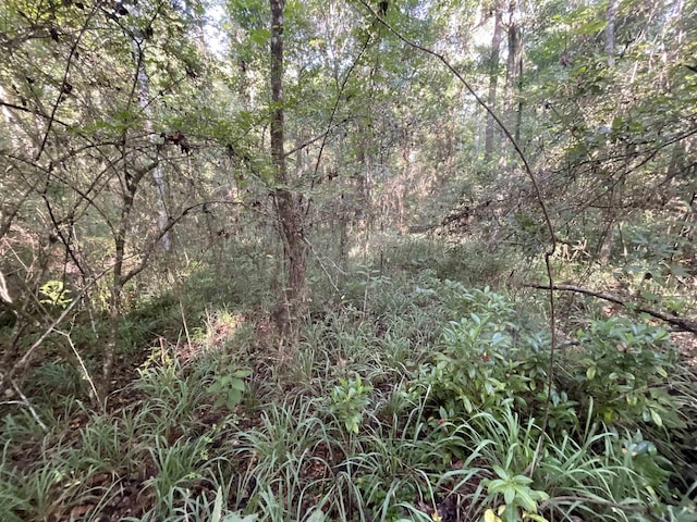 ***TBD*** Attapulgus Highway, Quincy, FL 32352 - photo 37