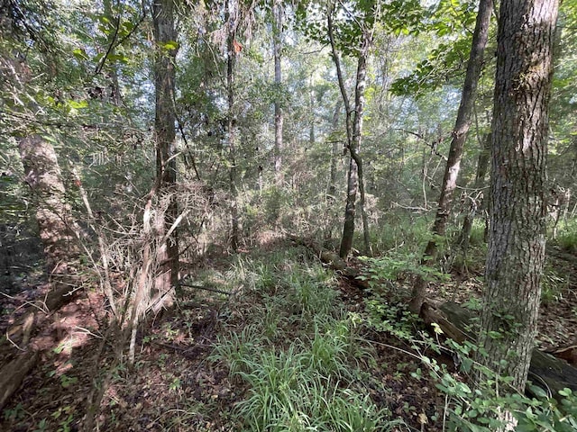 ***TBD*** Attapulgus Highway, Quincy, FL 32352 - photo 39