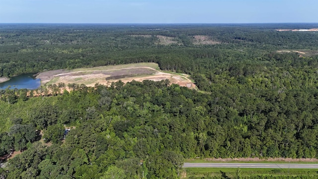***TBD*** Attapulgus Highway, Quincy, FL 32352 - photo 2