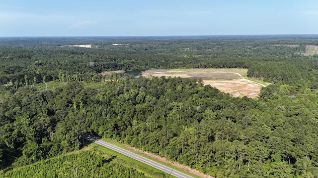 ***TBD*** Attapulgus Highway, Quincy, FL 32352 - photo 3