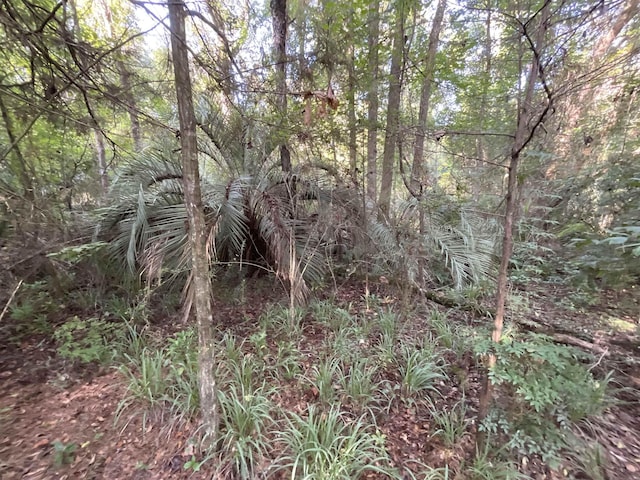 ***TBD*** Attapulgus Highway, Quincy, FL 32352 - photo 34