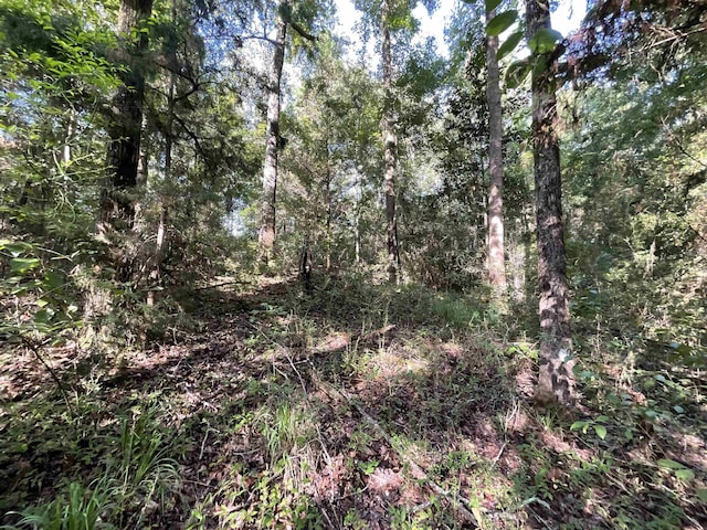 ***TBD*** Attapulgus Highway, Quincy, FL 32352 - photo 25
