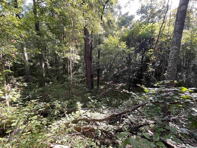 ***TBD*** Attapulgus Highway, Quincy, FL 32352 - photo 21