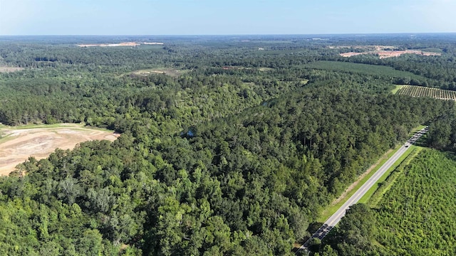 ***TBD*** Attapulgus Highway, Quincy, FL 32352 - photo 9