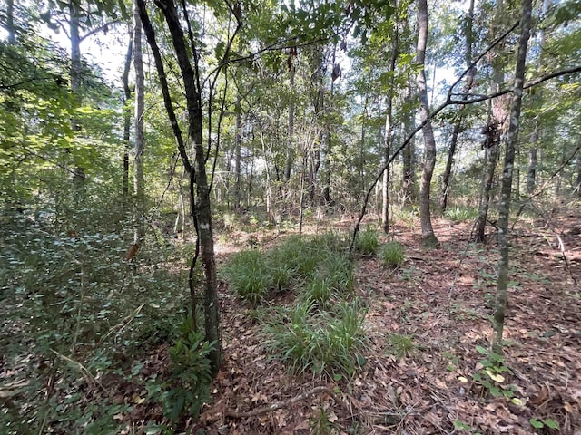 ***TBD*** Attapulgus Highway, Quincy, FL 32352 - photo 33