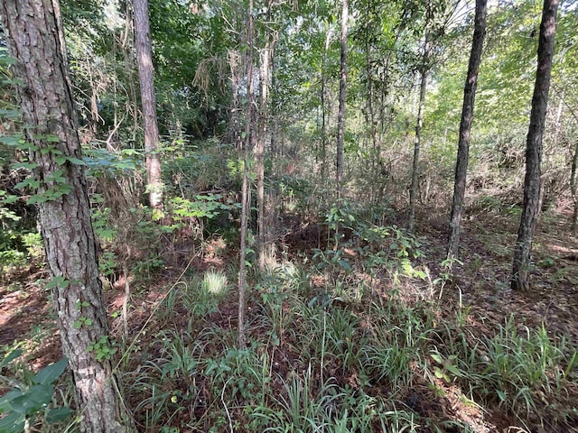 ***TBD*** Attapulgus Highway, Quincy, FL 32352 - photo 40