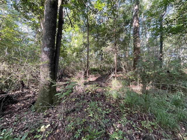 ***TBD*** Attapulgus Highway, Quincy, FL 32352 - photo 13