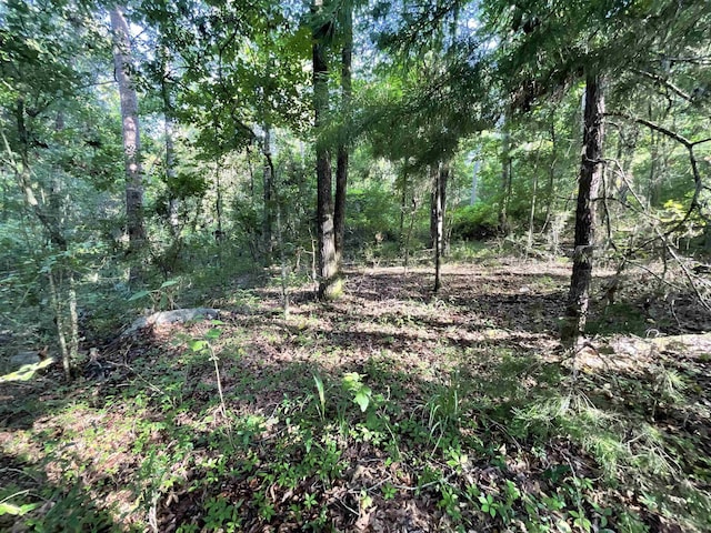 ***TBD*** Attapulgus Highway, Quincy, FL 32352 - photo 19